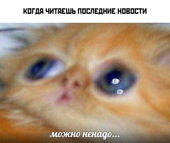 мемы про психологическую поддержку мемы про психологическую поддержку