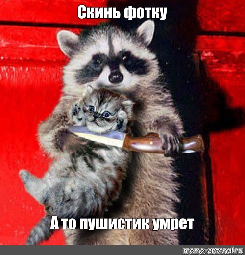 Скинь деньги или пушистик умрет