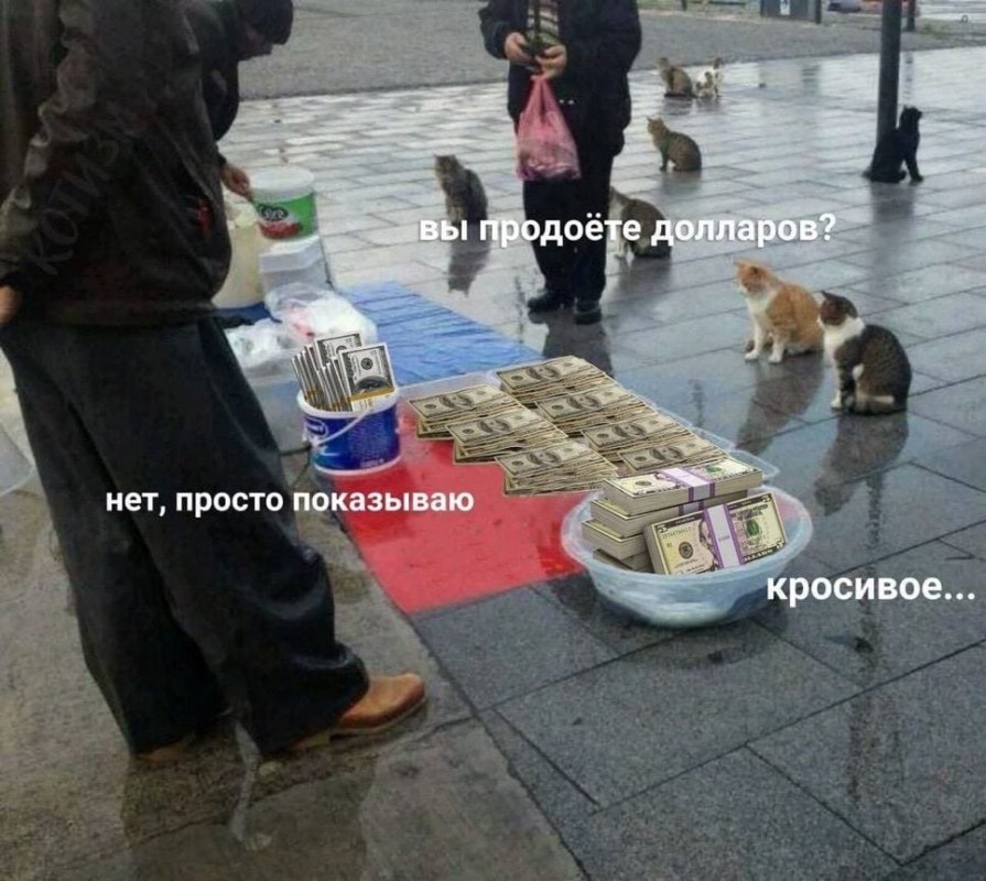 мемы про доллар мемы про доллар