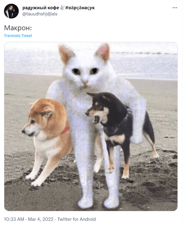 Макрон позвонил
