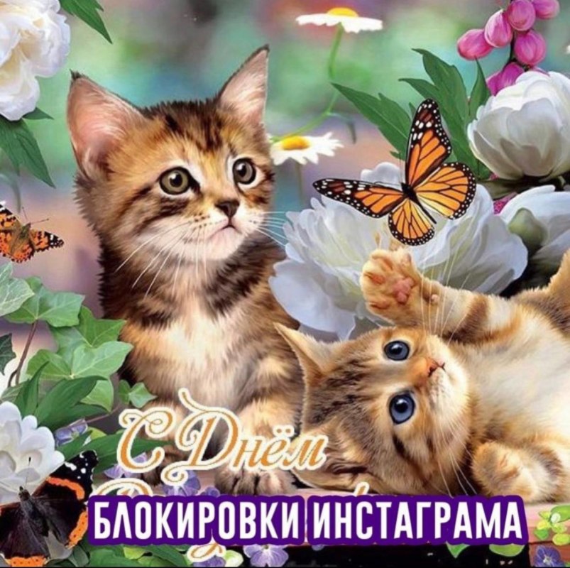 мемы про блокировку инстаграма