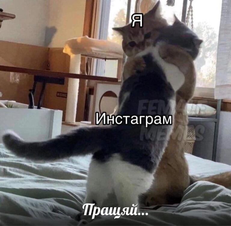 мемы про блокировку инстаграма