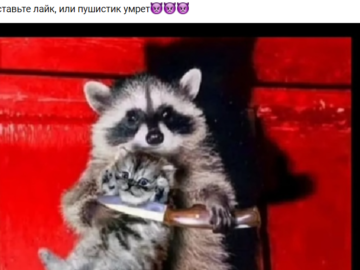 Скинь деньги или пушистик умрет