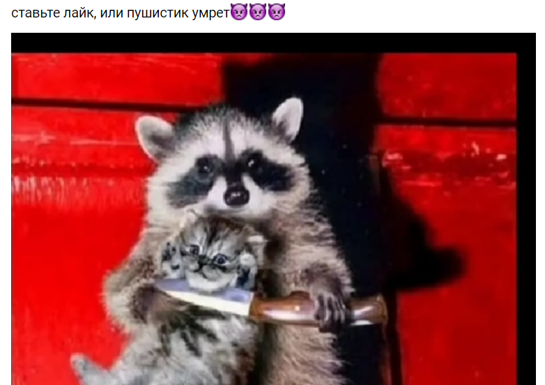 Скинь деньги или пушистик умрет