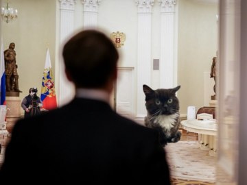 Путин за длинным столом
