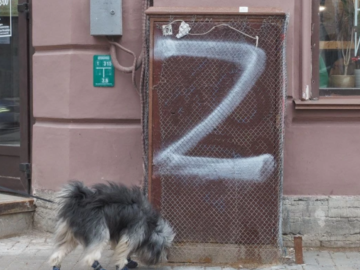 Буква Z