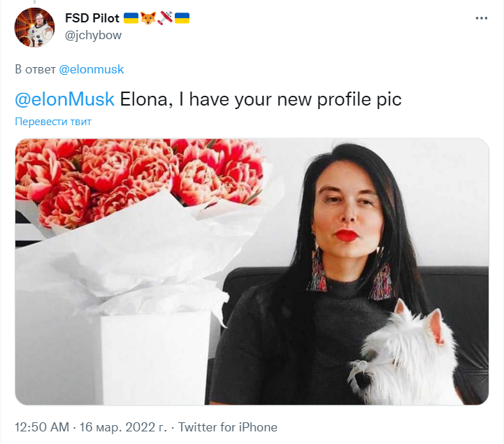 Илона Маск