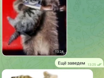 Скинь деньги или пушистик умрет