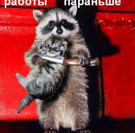 Скинь деньги или пушистик умрет