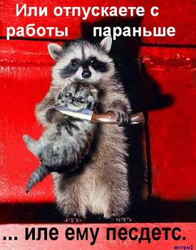 Скинь деньги или пушистик умрет