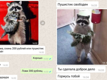 Скинь деньги или пушистик умрет