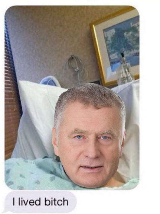 жириновский воскрес мемы