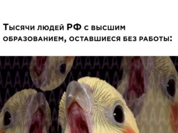 Временно приостановил свою деятельность на территории России