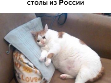 Временно приостановил свою деятельность на территории России