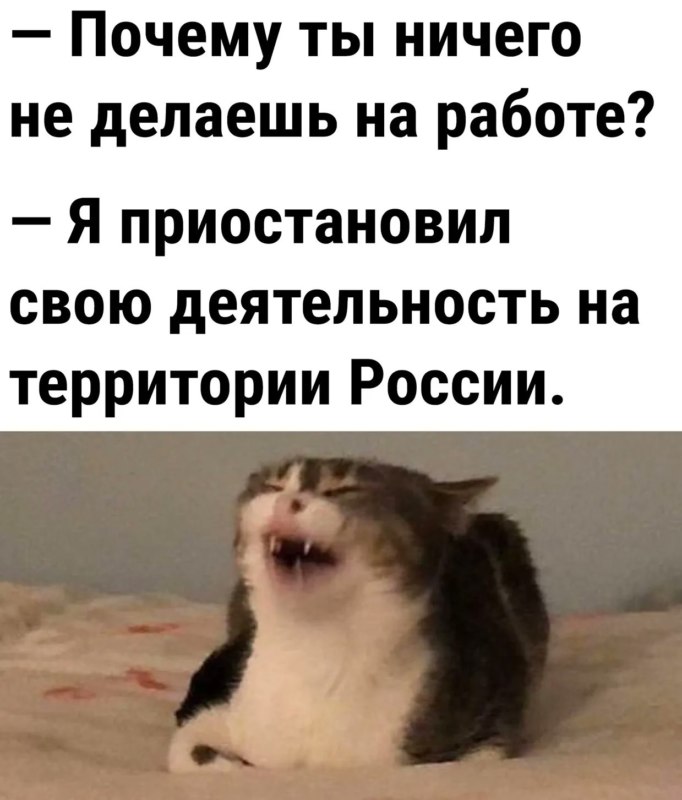 Временно приостановил свою деятельность на территории России