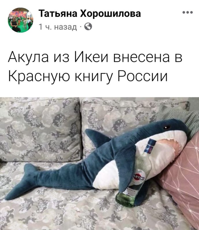 Временно приостановил свою деятельность на территории России
