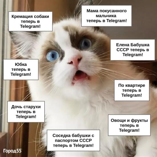 Теперь в Telegram