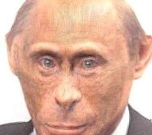 Путин Обезьяна (Monkey Putin)