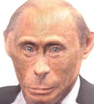 Путин Обезьяна (Monkey Putin) Путин Обезьяна (Monkey Putin)
