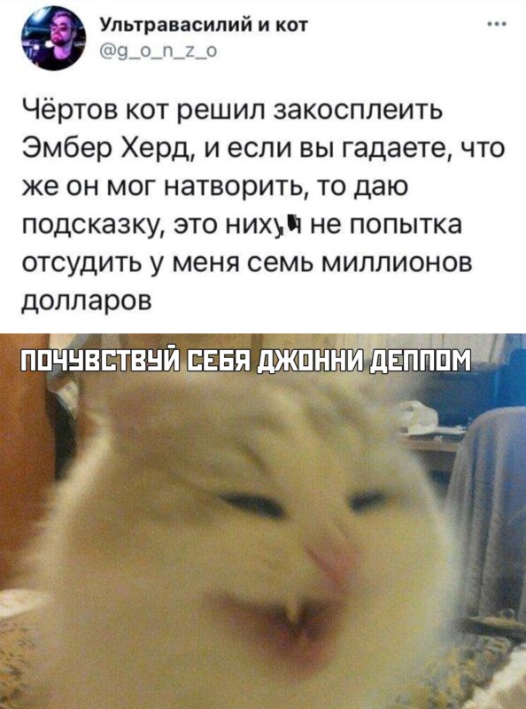 Джонни Депп против Эмбер Херд