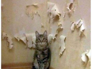 Не все так однозначно