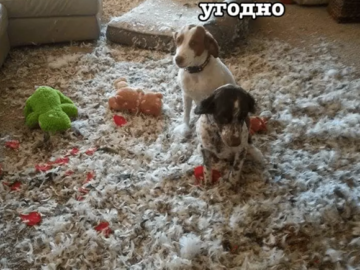 Не все так однозначно