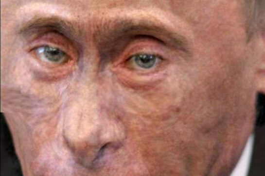 Путин Обезьяна (Monkey Putin)