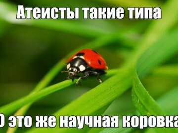 Атеисты типа такие