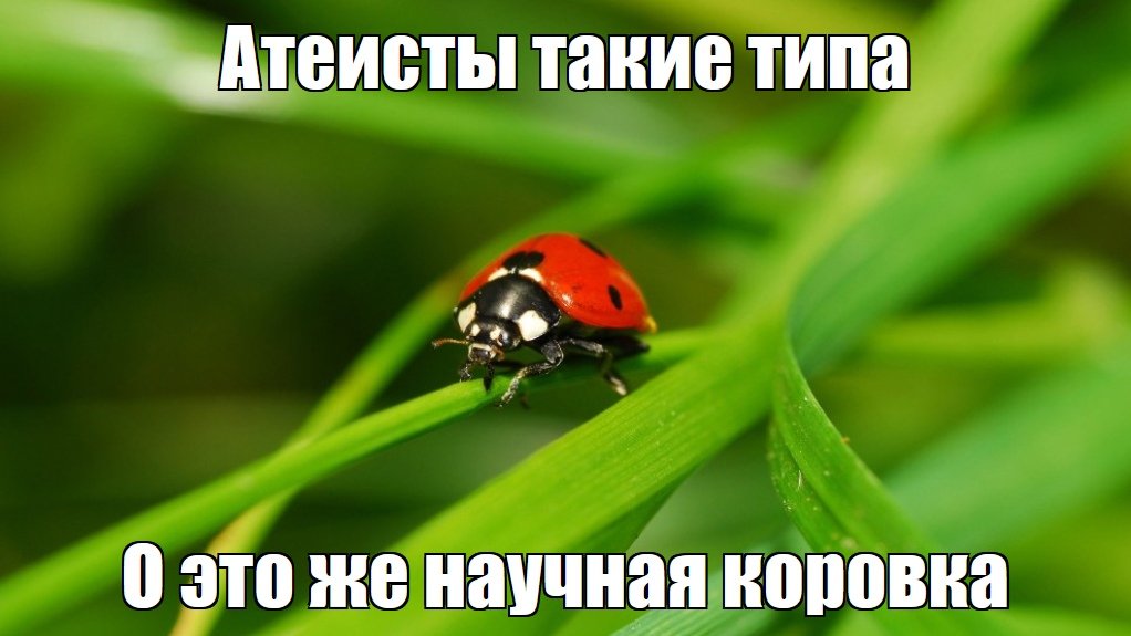 Атеисты такие типа мем