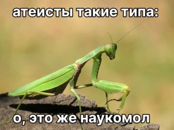 Атеисты типа такие
