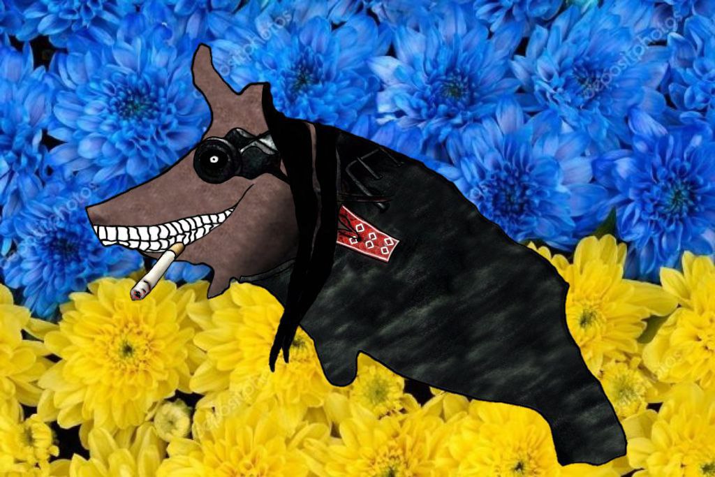 Швайнокарась
