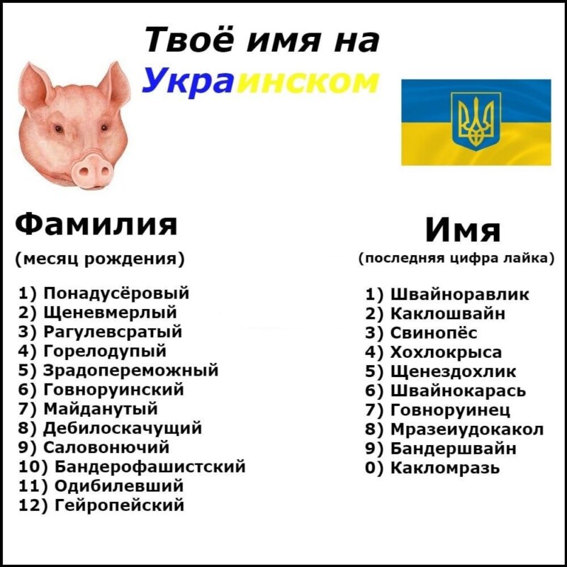 швайнокарась мем швайнокарась мем