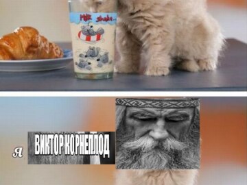 Виктор Корнеплод