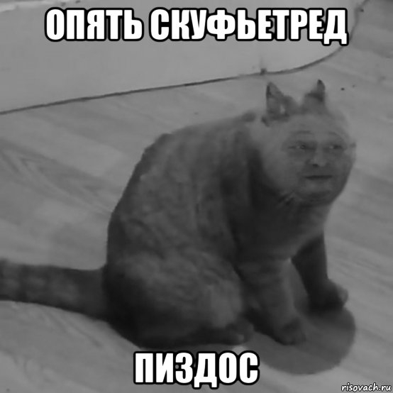 Скуф