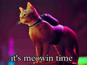 Мемы про игру Stray