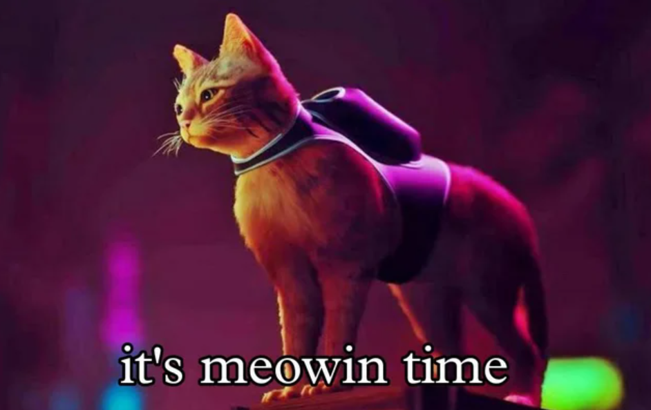 Мемы про игру Stray
