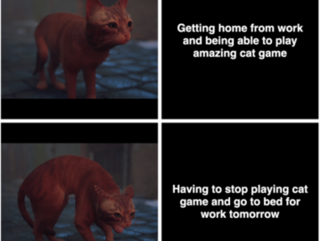 Мемы про игру Stray