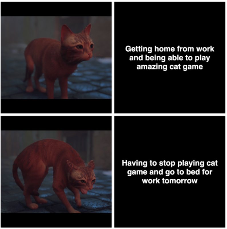 Мемы про игру Stray