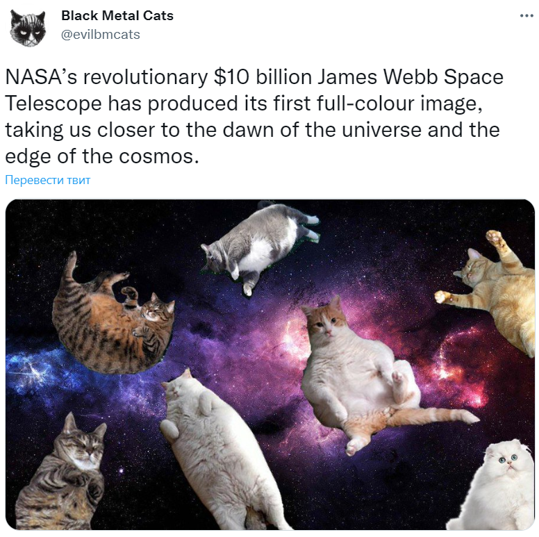 james webb memes james webb memes
