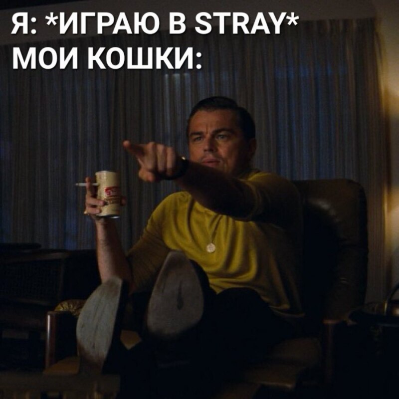 Мемы про игру Stray