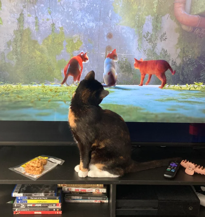 Коты реагируют на игру Stray