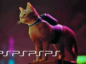 Мемы про игру Stray