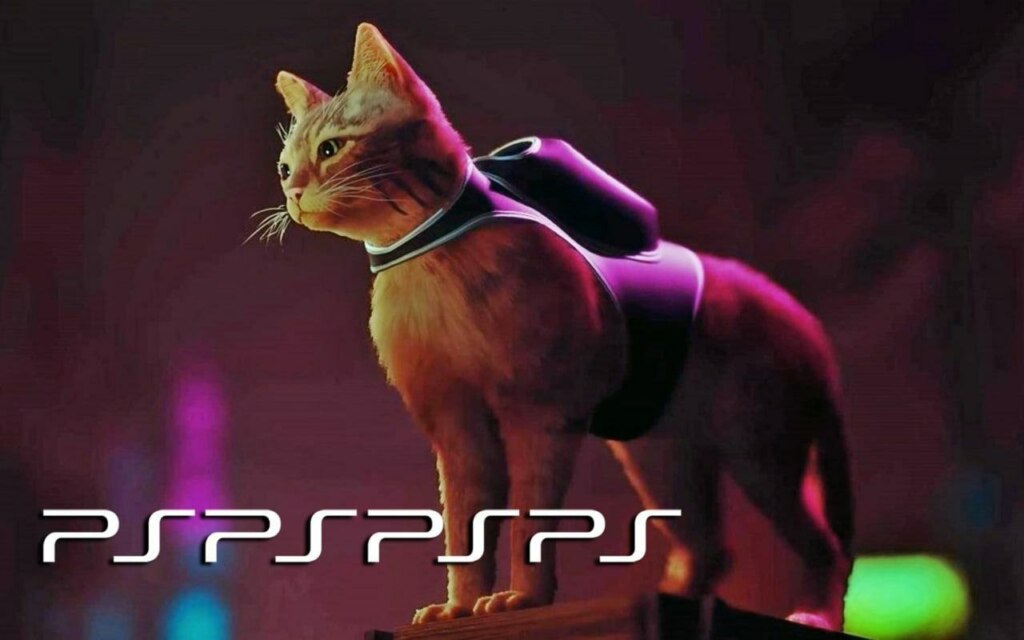Мемы про игру Stray