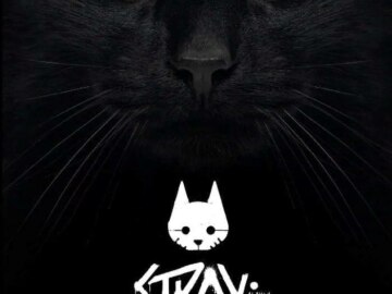 Мемы про игру Stray