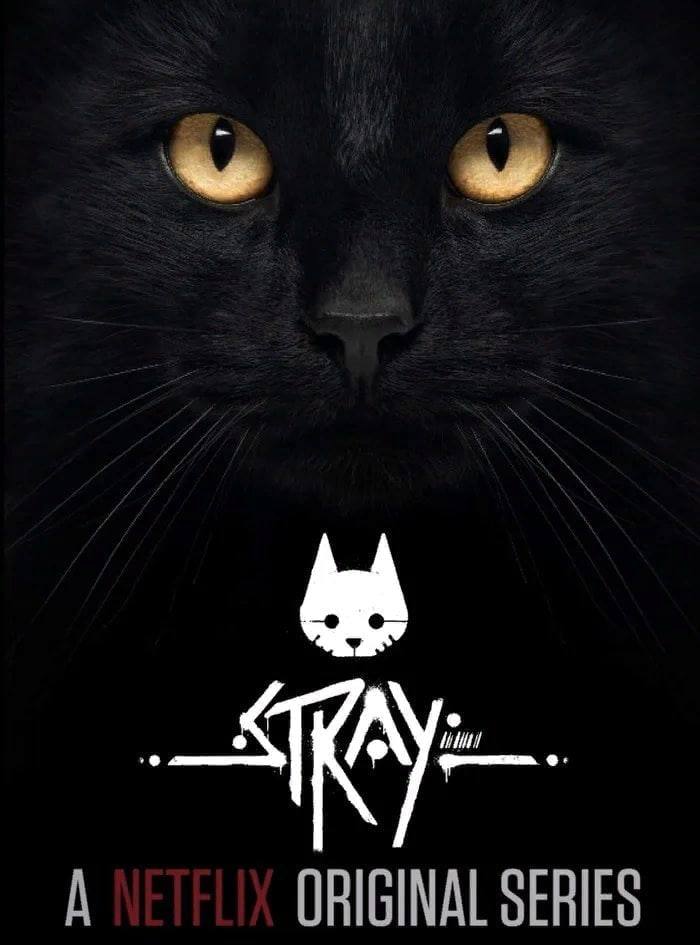 Мемы про игру Stray