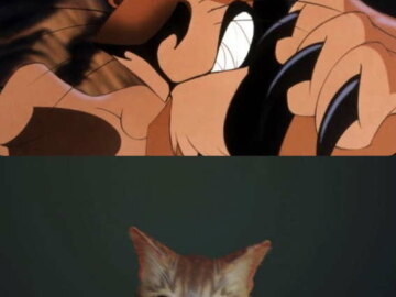 Мемы про игру Stray