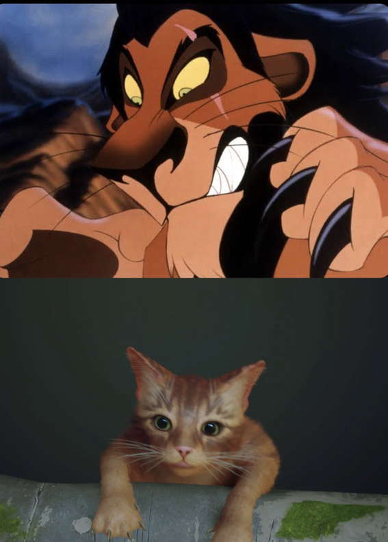 Мемы про игру Stray
