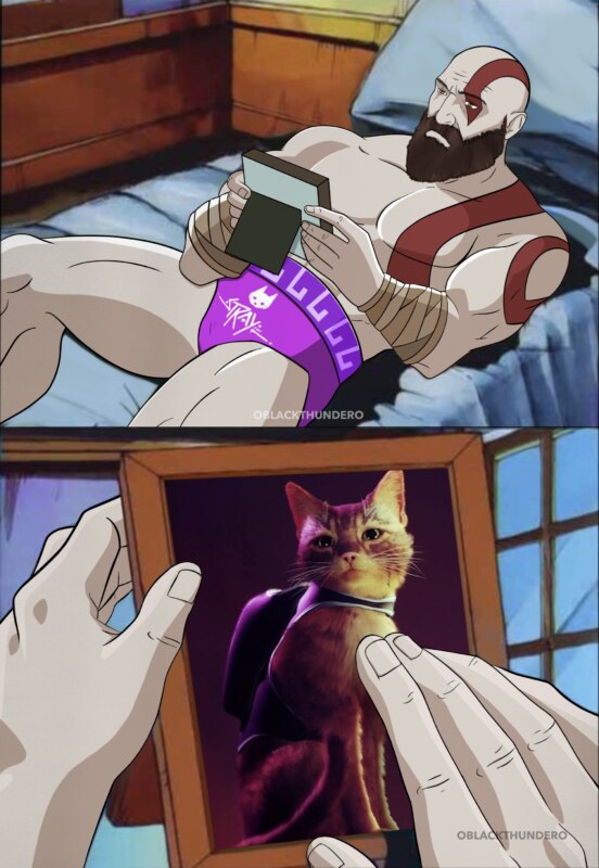 Мемы про игру Stray