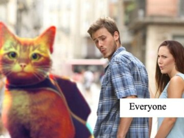 Мемы про игру Stray