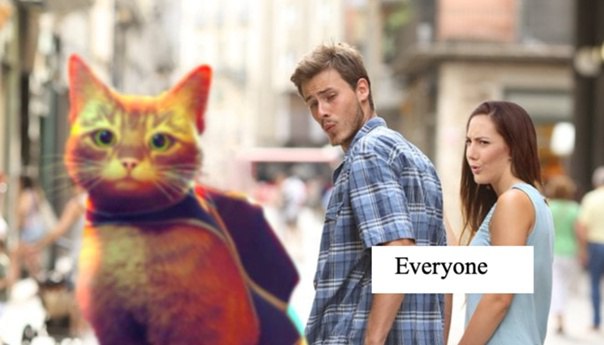 Мемы про игру Stray